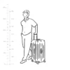 Grande valise Essential Trunk Plus Grande valise Essential Trunk Plus